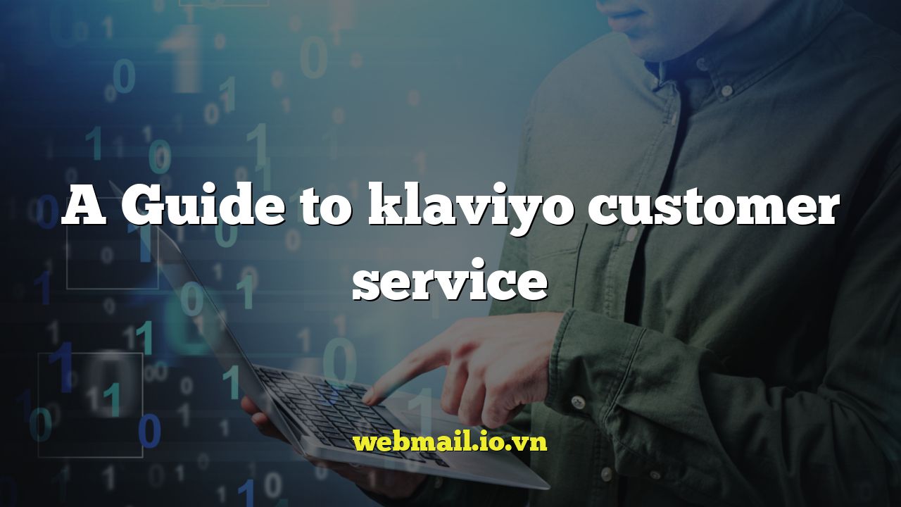 A Guide to klaviyo customer service