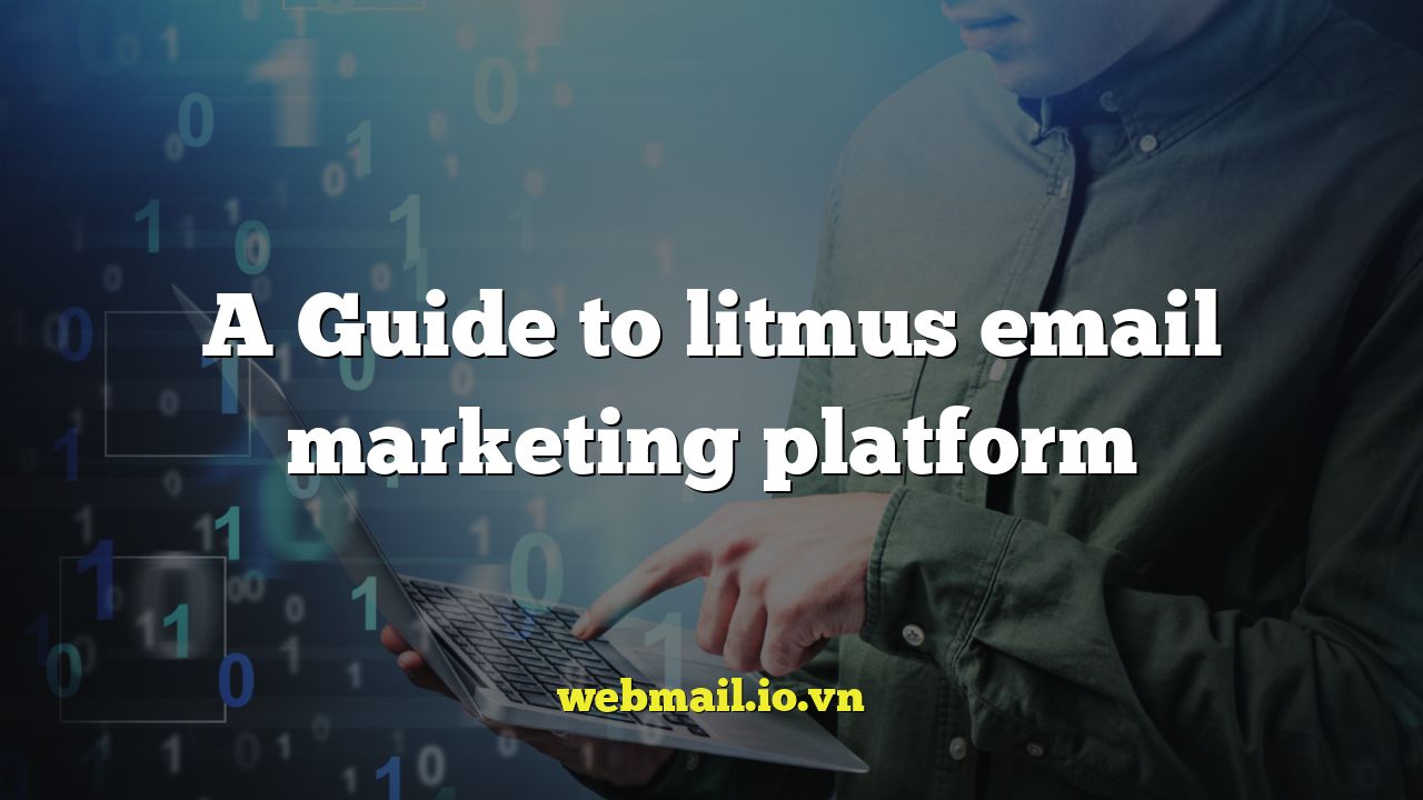 A Guide to litmus email marketing platform
