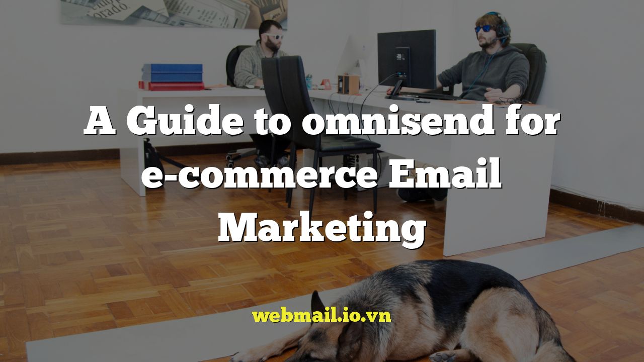 A Guide to omnisend for e-commerce Email Marketing