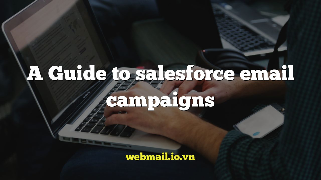 A Guide to salesforce email campaigns