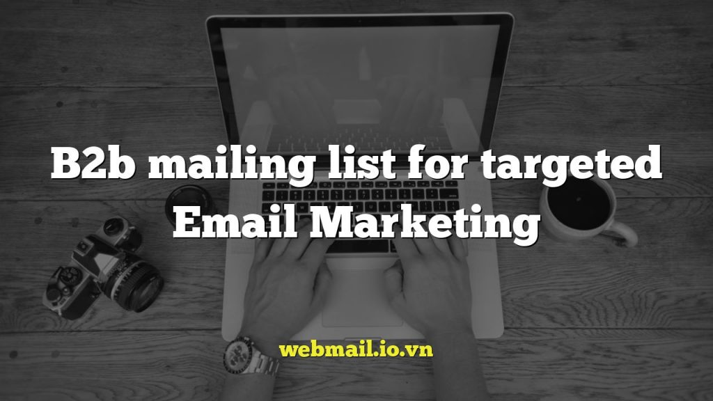 B2b mailing list for targeted Email Marketing