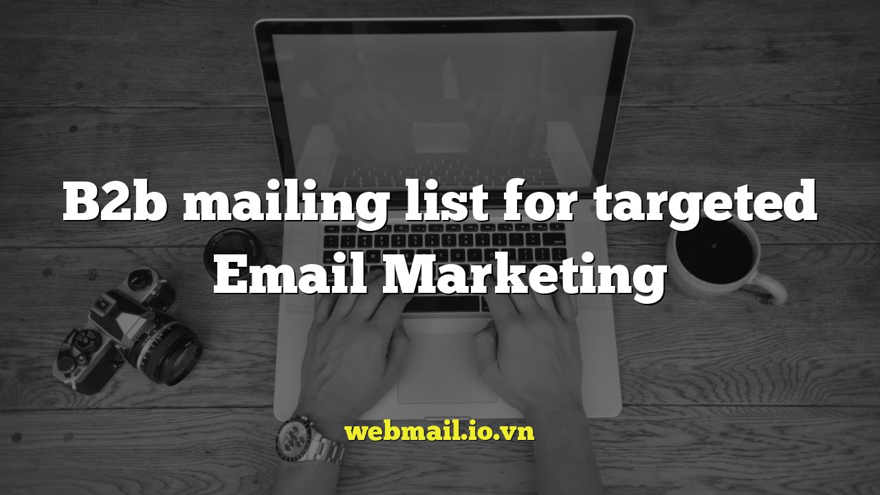 B2b mailing list for targeted Email Marketing