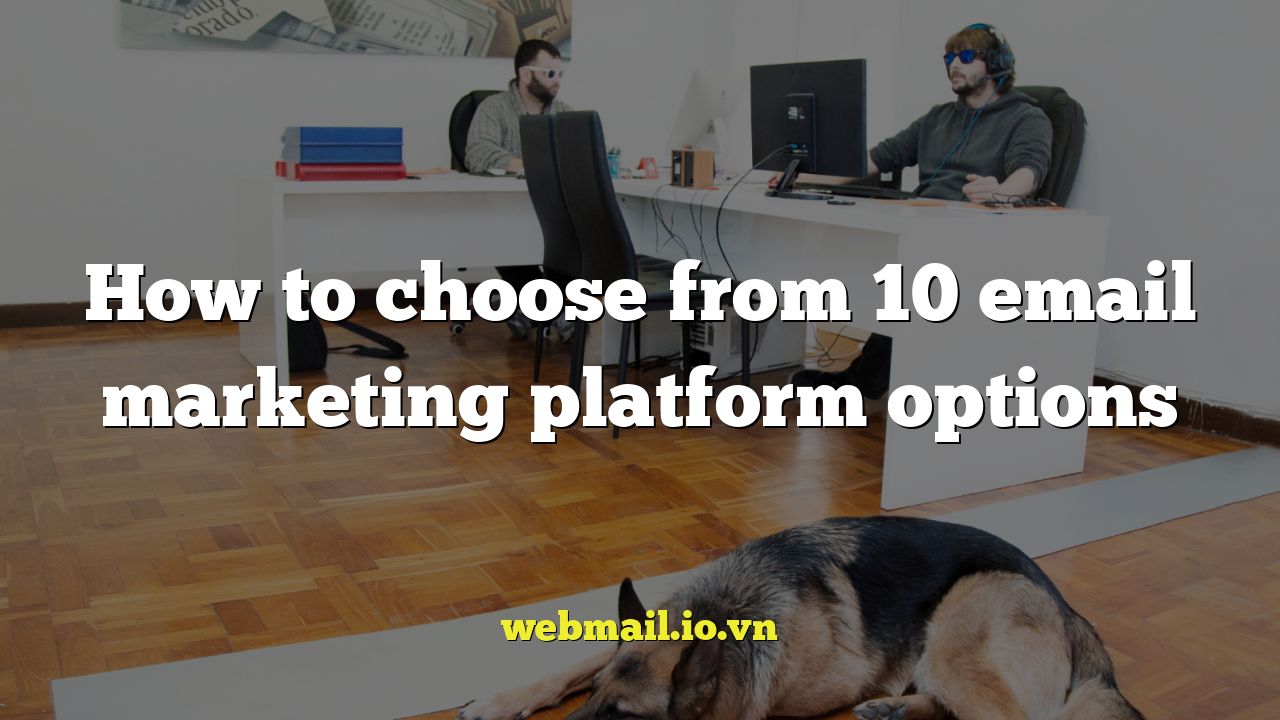How to choose from 10 email marketing platform options
