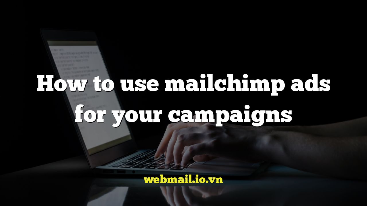How to use mailchimp ads for your campaigns