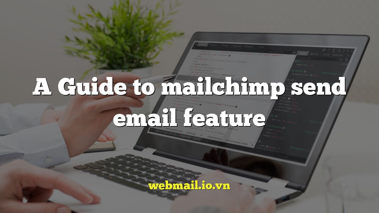 A Guide to mailchimp send email feature
