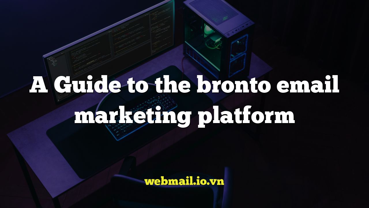 A Guide to the bronto email marketing platform
