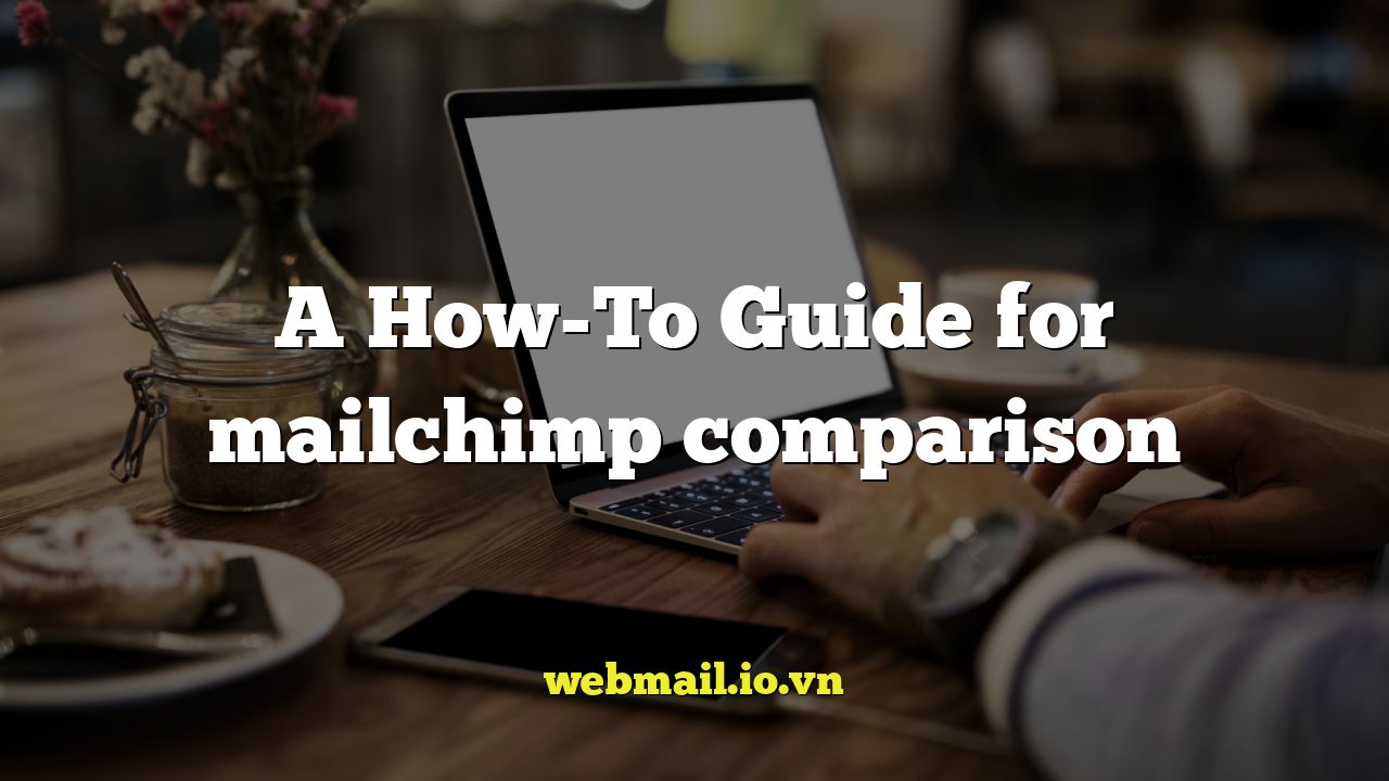 A How-To Guide for mailchimp comparison