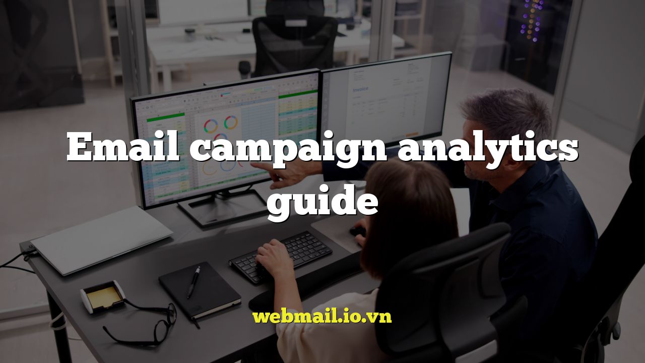 Email campaign analytics guide