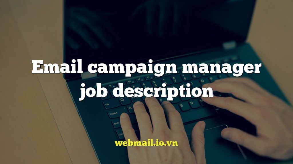 Email campaign manager job description