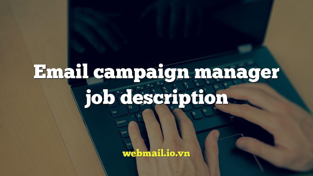 Email campaign manager job description