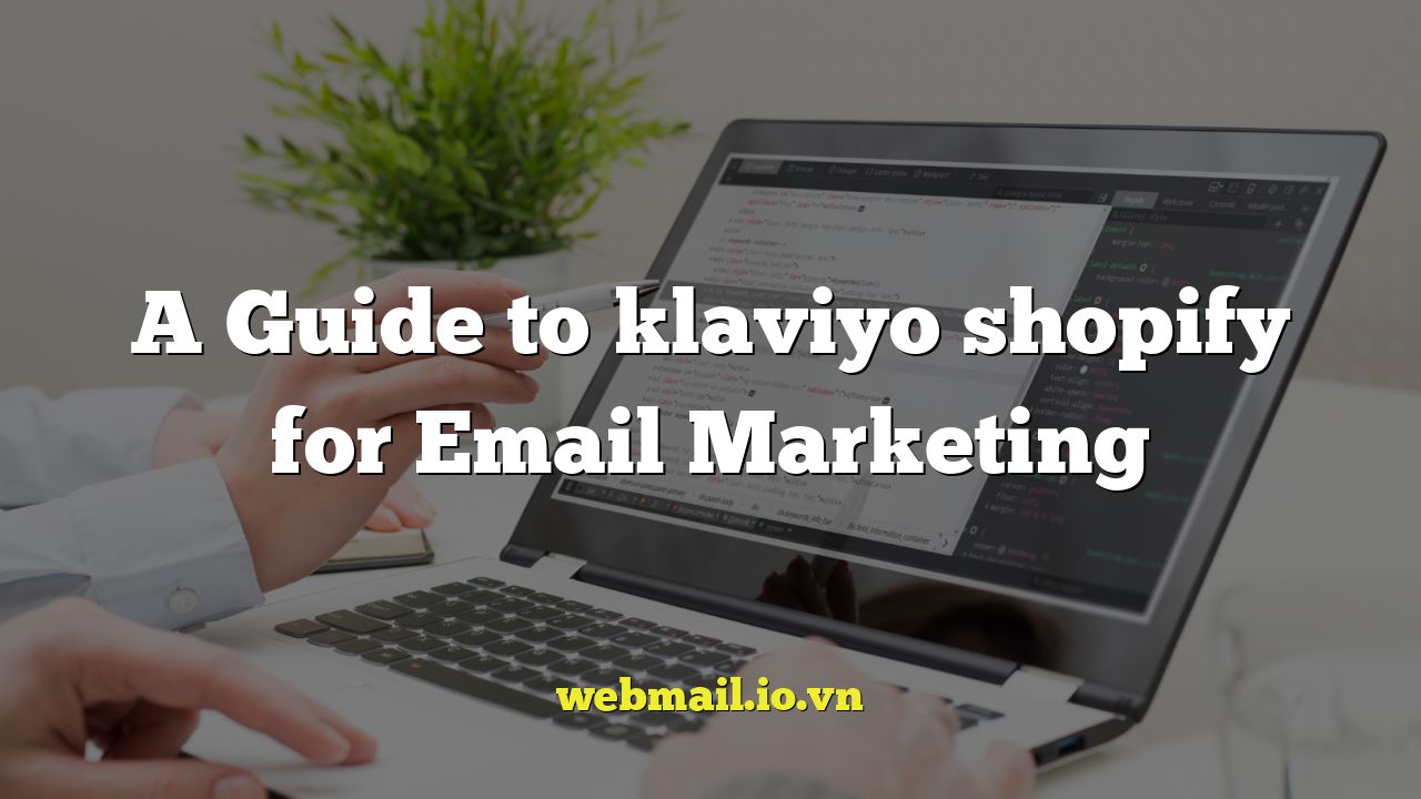 A Guide to klaviyo shopify for Email Marketing