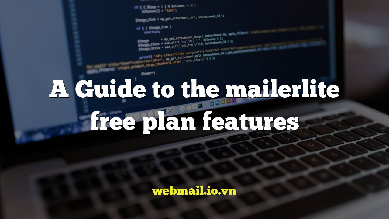 A Guide to the mailerlite free plan features