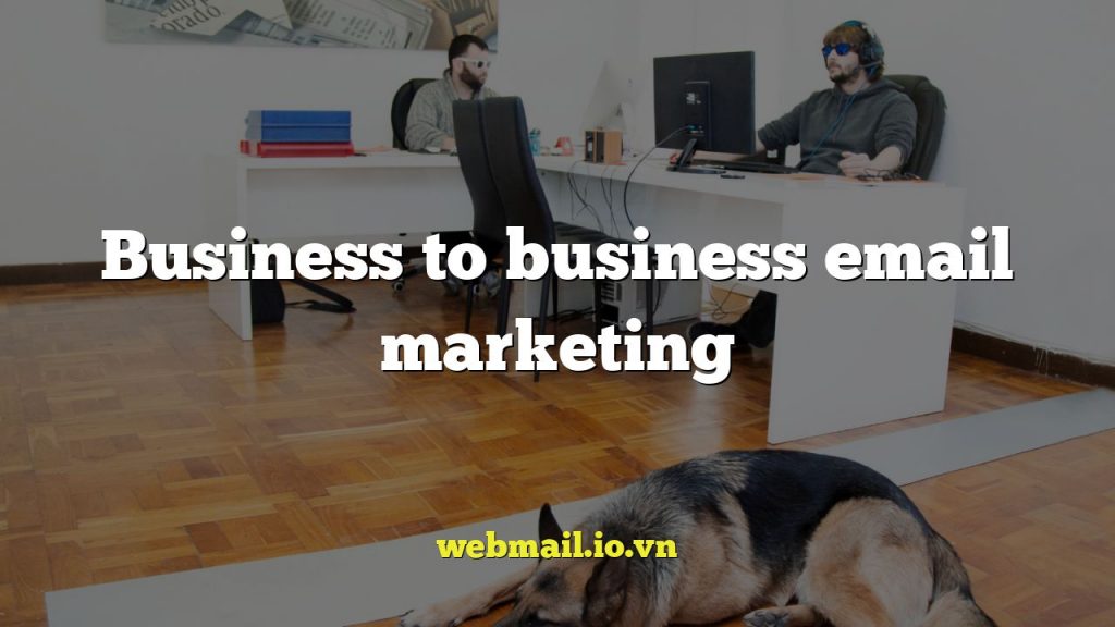 Business to business email marketing