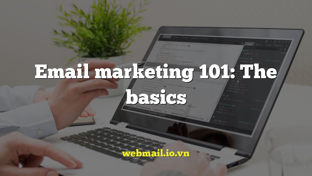 Email marketing 101: The basics