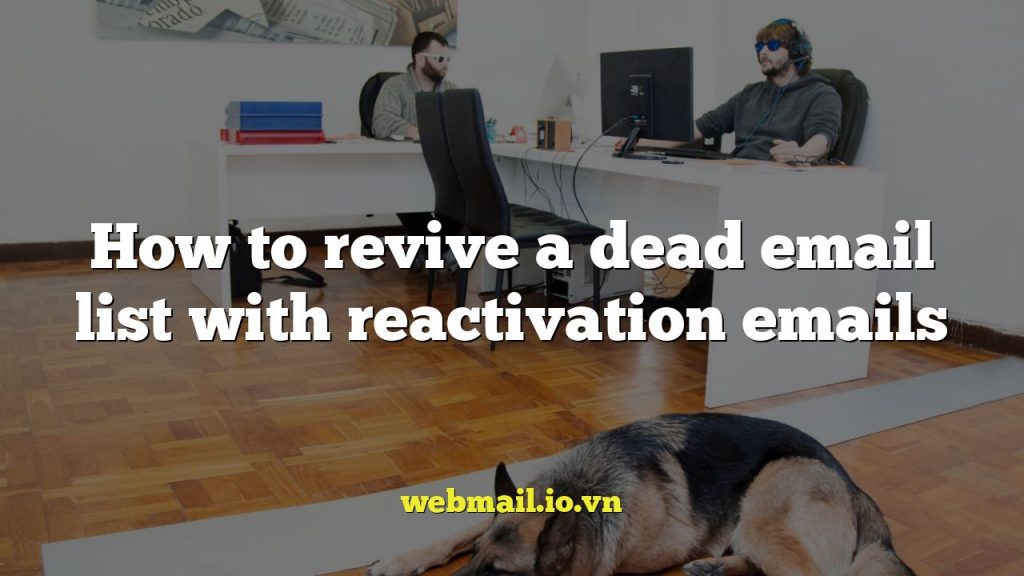 How to revive a dead email list with reactivation emails