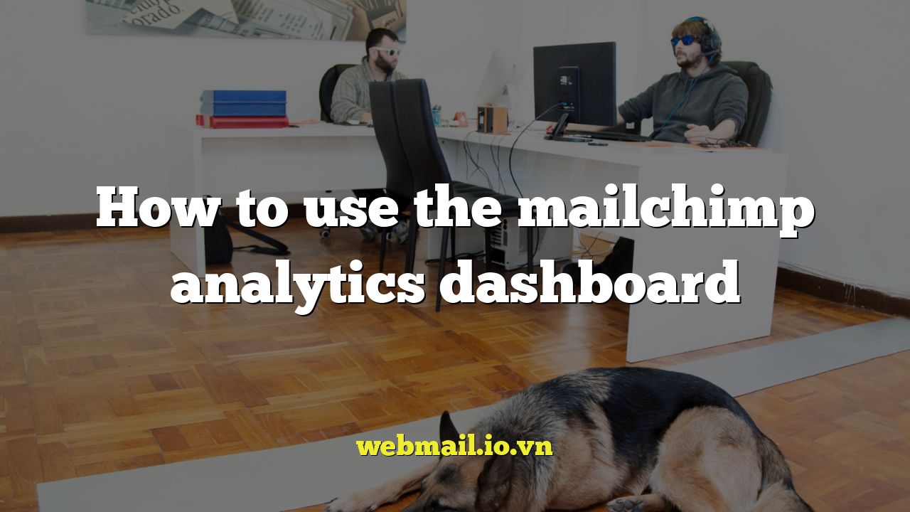 How to use the mailchimp analytics dashboard