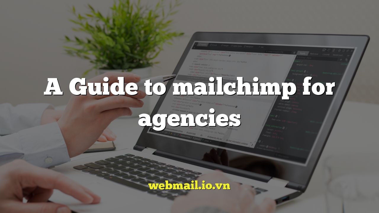 A Guide to mailchimp for agencies